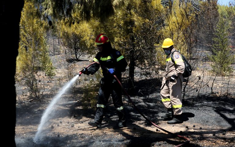 Κόρινθος: Πυρκαγιά σε δασική έκταση στην περιοχή Βλασαίικα