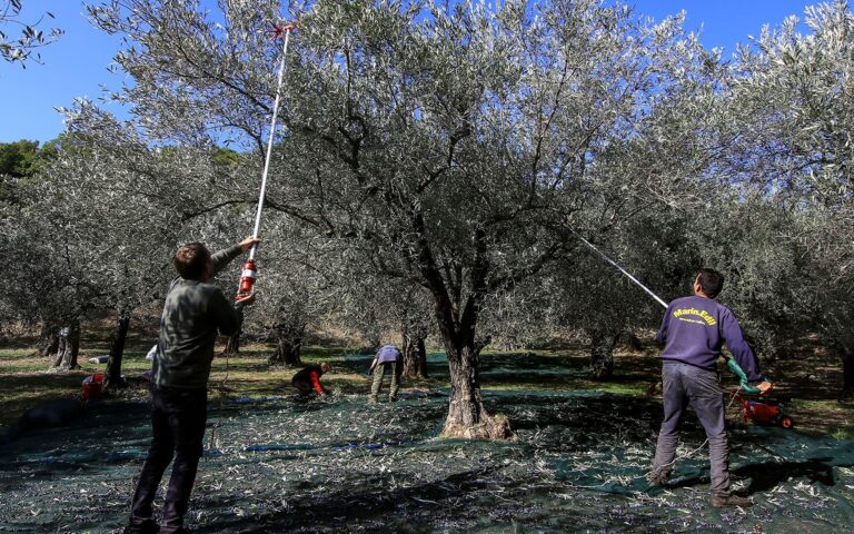 ΔΥΠΑ: Πιλοτικό πρόγραμμα μετακίνησης εργατών γης