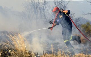Πυρκαγιά σε δασική έκταση στη Μαγνησία – Ήχησε το 112