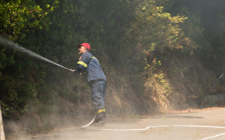 Πυροσβεστική: Βελτιωμένη η εικόνα στην Ηλεία – 41 δασικές πυρκαγιές το τελευταίο 24ωρο