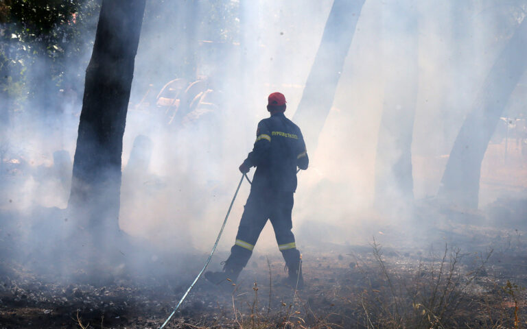 Πολιτική Προστασία: Ποιές περιοχές θα έχουν πολύ υψηλό κίνδυνο πυρκαγιάς αύριο