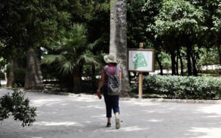 Δ. Αθηναίων: Κλειστός ο Εθνικός Κήπος – Αυξημένα μέτρα ασφαλείας λόγω θυελλωδών ανέμων