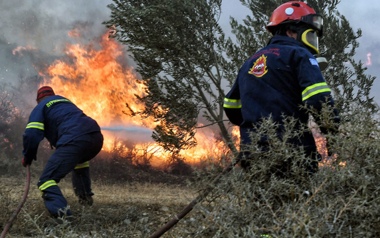 Πυρκαγιά σε δασική έκταση στην Κάτω Ποσειδωνία Λαυρίου – Κυκλοφοριακές ρυθμίσεις στην περιοχή