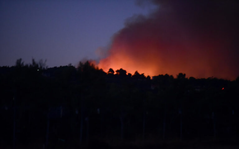 Φωτιά σε δασική έκταση στη Σάμο