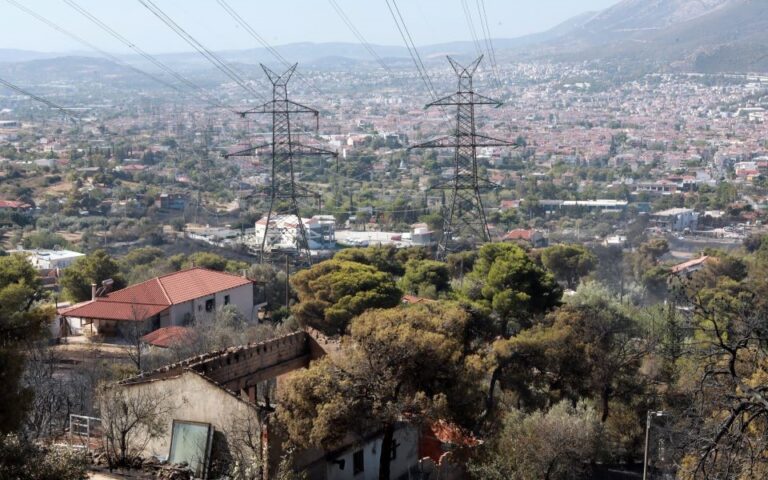 Χατζηθεοδοσίου: Στήριξη και για την έμμεση ζημία των επιχειρήσεων στα καμμένα