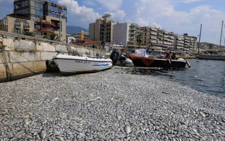 Σε κατάσταση έκτακτης ανάγκης ο Βόλος για τα νεκρά ψάρια