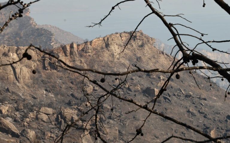 Σε ύφεση η φωτιά στο Ξυλόκαστρο Κορινθίας